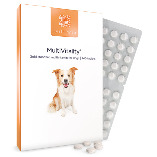 Healthspan Multivitamin for Dogs, 240 Tablets, Beef Flavour