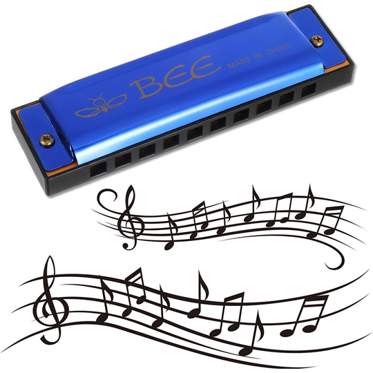 Meifyomng Harmonica, 10 Holes 20 Tones Mouth Organ Key of C Stainless Steel Mini Blues Harmonica Perfect Gift for Kids Adults Beginners and Performers