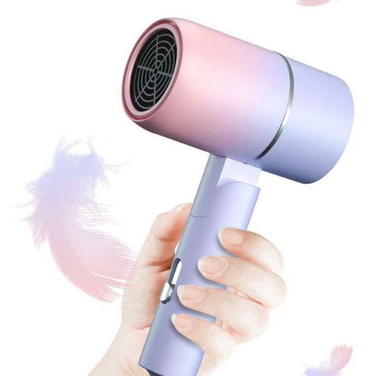 Hair Dryer Professional Household Electric Negative Ionic Hairdryer