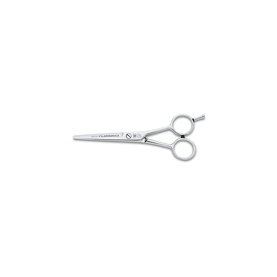 Filarmonica Professional Hairdressing Scissors Stainless Steel Salon Cutting Scissors for Home Use Hair Cutting with Adjustable Flat Screw and Re