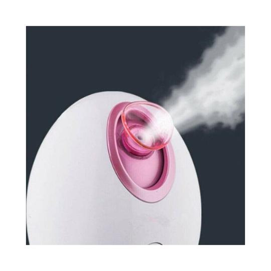 Facial Skin Care Steamer Professional Face Sprayer Mist Salon Beauty Instruments