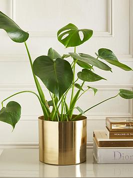 Michelle Keegan Gold Metal Planter