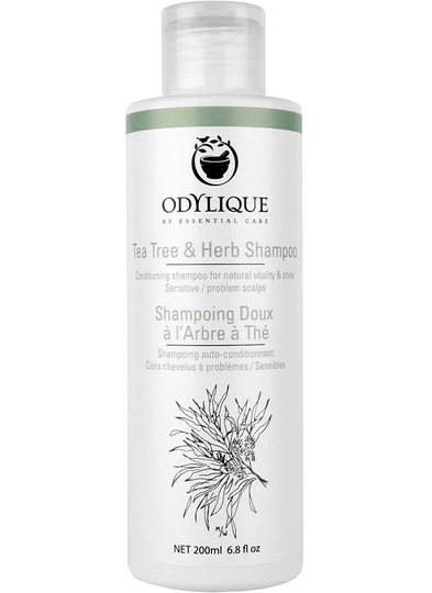 Odylique Tea Tree & Herb Shampoo 200ml