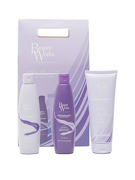 Beauty Works Colour Collection Gift Set - Anti-Yellow