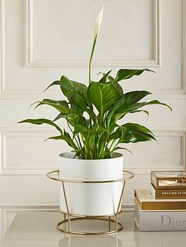 Michelle Keegan Gigi White Metal Planter On Stand
