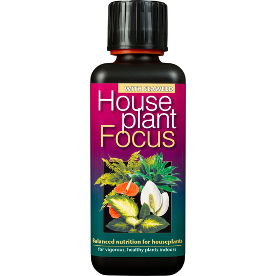 Houseplant Focus Balanced Liquid Concentrated Fertiliser 300ml