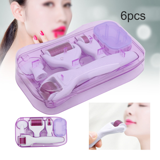 6 in 1 Derma Roller Health Face Skin Care Micro Needle Anti Ageing Kit
