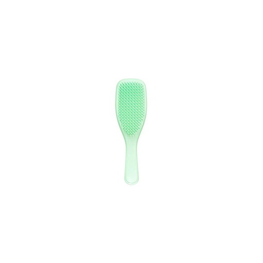 Tangle Teezer The Wet Detangler Hairbrush, Mint Karma