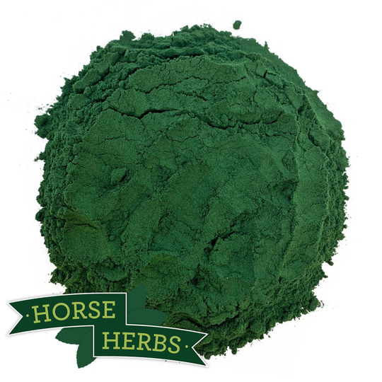Horse Herbs Spirulina Powder 300g - Horse & Pony Feed Supplement, Equine