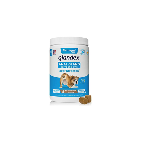 Glandex Fibre Supplements Dog Chews Treat With Pumpkin for Dogs, Digestive Enzyme & Probiotic - Vet Recommended - Boot the Scoot 120 Peanut Butter