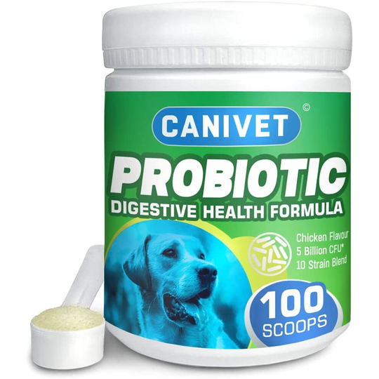 CANIVET Probiotics for Dogs with 5 BILLION CFU with 10 Strain Blend - 100 scoops