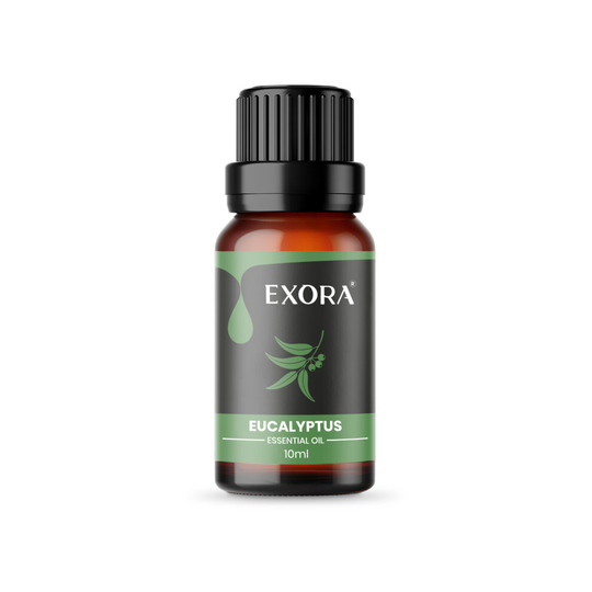 (Eucalyptus) ESSENTIAL OIL 10ml Pure and Natural for Aromatherapy Home Fragrance Oil