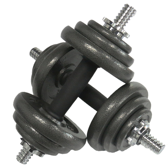 Gym Master 20kg Dumbbell Set Pair of Weights Gym Fitness Cast Iron Home Training
