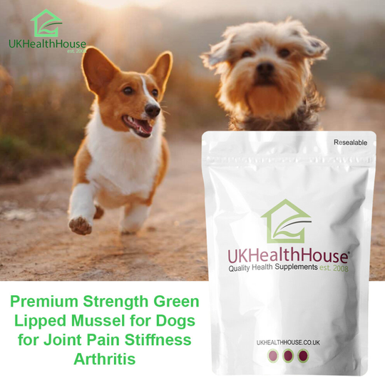 GREEN LIPPED MUSSEL 500mg 90 capsules Healthy Joints For Dogs & Humans