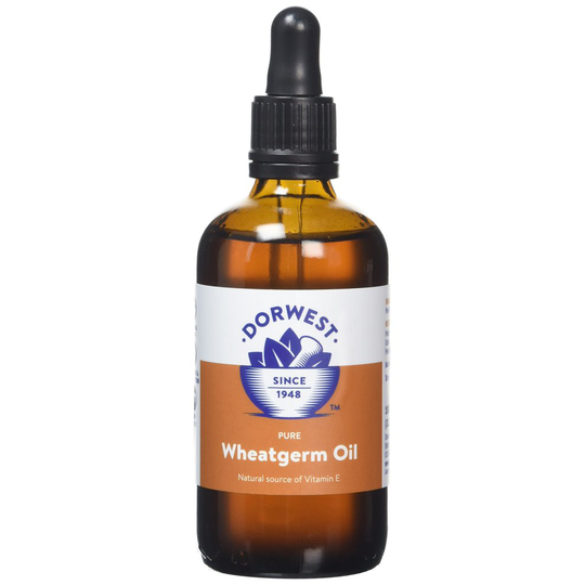 DORWEST HERBS Wheatgerm Oil Liquid for Dogs and Cats 100ml