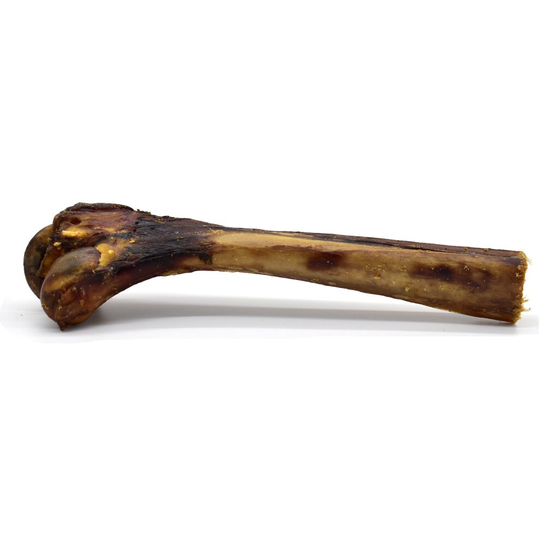 1 x Medium Ostrich Metatarsus Bone