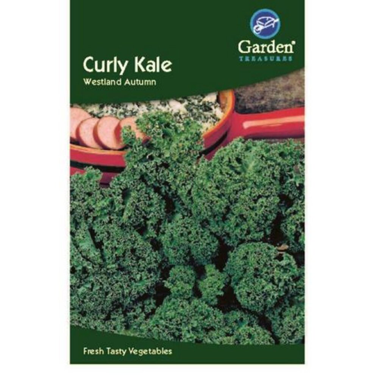 Curly Kale Seeds Vegetable Garden 140 seeds