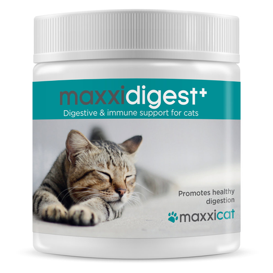 maxxicat - maxxidigest+ probiotics, prebiotics & digestion enzymes for cats - Advanced feline digestive & immune system support - Non GMO powder 200 g
