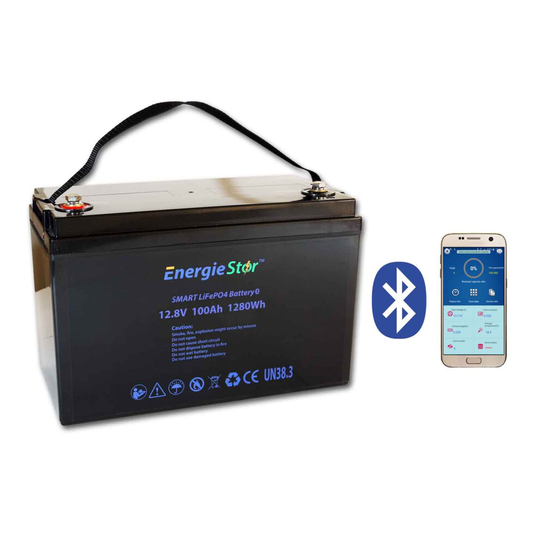 (100Ah Smart, 12.8V, 1280Wh, Yes) LiFePo4 Battery 12.8V Lithium-Ion Iron Phosphate 12V Deep Cycle Heavy Duty Caravan Camping Golf