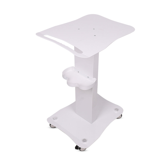 Iron Trolley Salon Use Pedestal Rolling Cart Lockable Wheel Stand