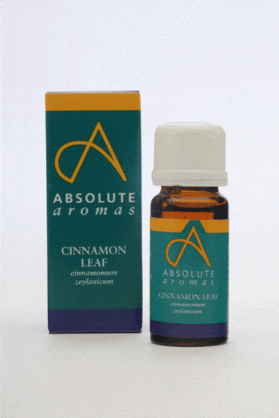 Absolute Aromas Cinnamon Leaf, 10ml