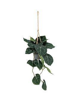 Gallery Trailing Caladium Leaves In Pot Green L850Mm