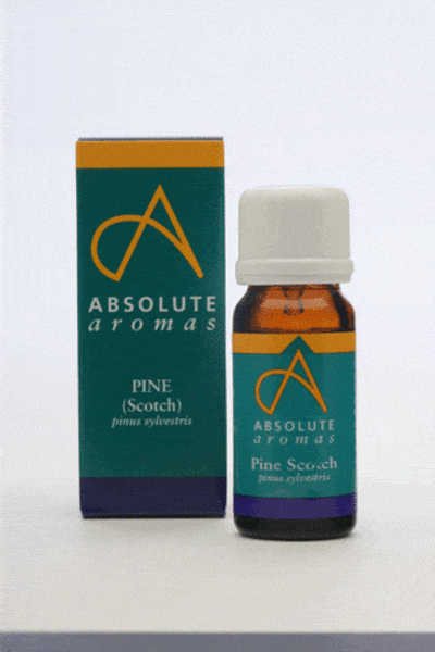 Absolute Aromas Pine Scotch, 10ml