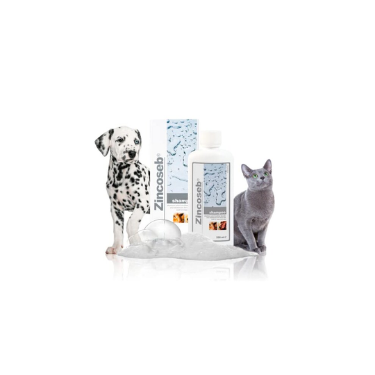 Zincoseb Dog Shampoo 250ml For Dry Skin Infections Greasy Skin Smelly Coat by I.C.F. IND.CHIMICA FINE Srl
