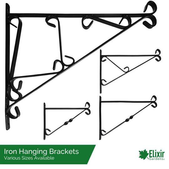 (Small - 12", 20) Elixir Gardens Heavy Duty Wrought Iron Wall Bracket for Hanging Basket S, M, L, XL - Black