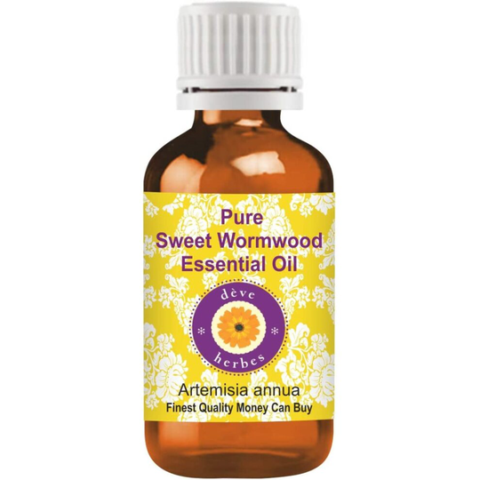Deve Herbes Pure Sweet Wormwood Essential Oil (Artemisia annua) 100% Natural Therapeutic Grade Steam Distilled 15ml (0.50 oz)