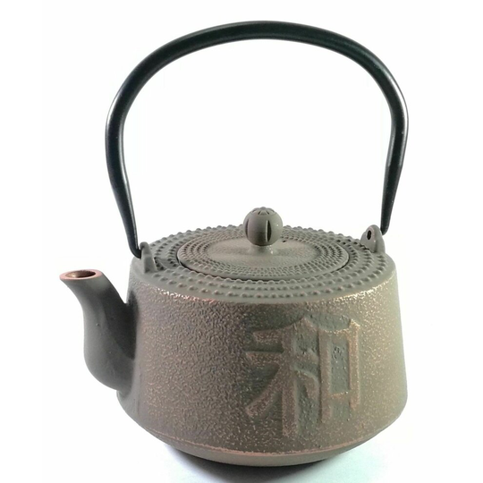Japanese Teapot Cast Iron with Infuser