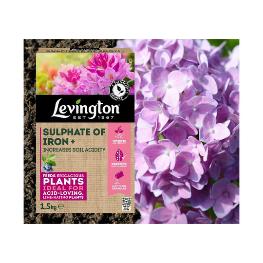 Levington Sulphate Of Iron Ericaceous Plant Fertiliser Feed 1.5kg