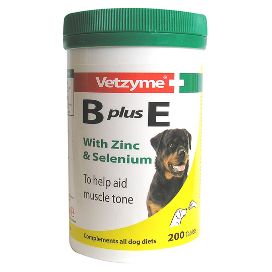 Vetzyme B Plus E Dog Tablets