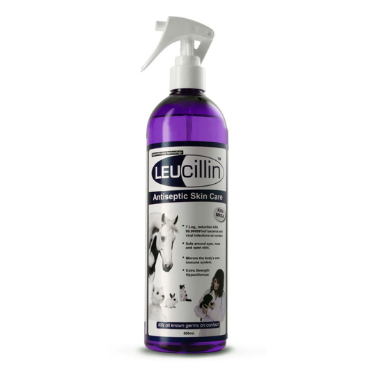 Leucillin Antiseptic Skin Care Spray 500ml