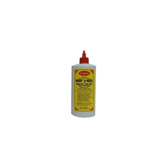 16OZ Top Antibacterial