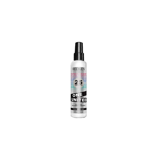 Anti-Frizz Treatment One United Redken (150 ml)