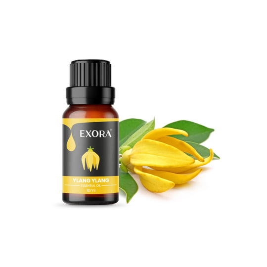 (Ylang Ylang ) ESSENTIAL OIL 10ml Pure and Natural for Aromatherapy Home Fragrance Oil