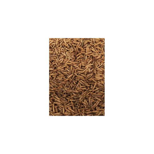 Maltbys' Stores 1904 Limited Dried Calciworms 2kg Premium Wild Bird & Hedgehog Food Higher Calcium Than Mealworms