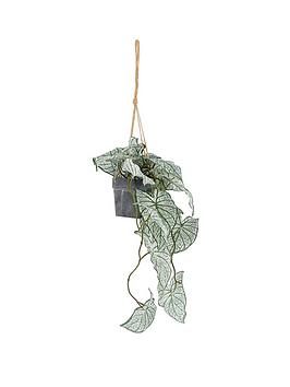 Gallery Trailing Caladium Leaves In Pot White Green L850Mm