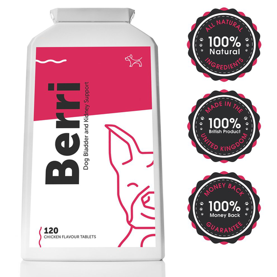 Advanced Bladder & Kidney Support for Dogs (120 Chicken Flavour); Urinary Tract Infection (UTI) Supplement with Cranberry, Marshmallow Root,...