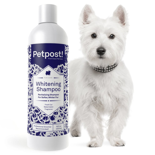 Petpost | Dog Whitening Shampoo - Best Lightening Treatment for Dogs with White Fur - Soothing Watermelon Scent - Maltese, Shih Tzu, Bichon Frise...