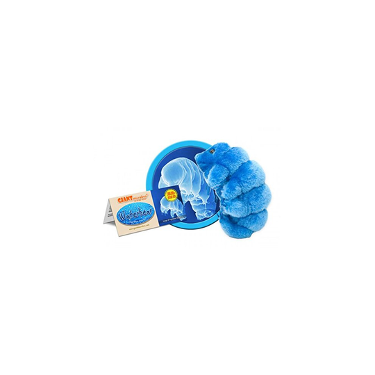 GIANT MICROBES Waterbear (Hypsibius dujardini) Plush Toy