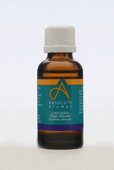 Absolute Aromas Lavender, High Altitude, 30ml