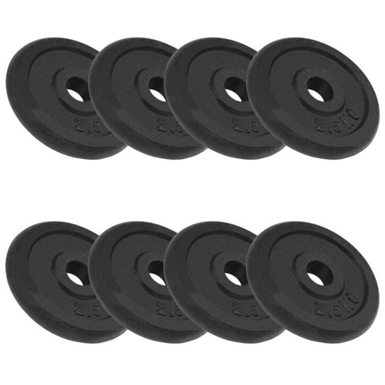 vidaXL 8x Weight Plates 8x2.5 kg Cast Iron Fitness Gym for Dumbbell Lifting Bars