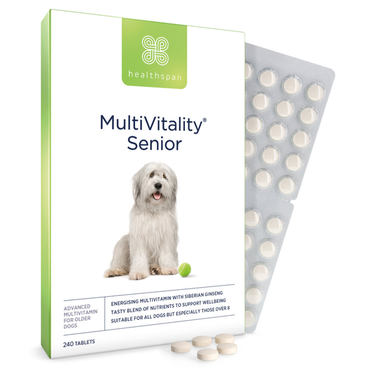 Healthspan Multivitamin Senior for Dogs, 240 Tablets, Beef Flavour