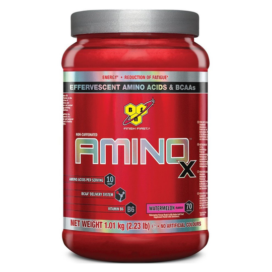 BSN Amino X, Watermelon, 1010g