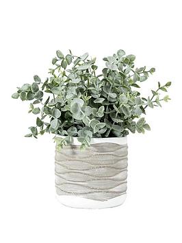 Gallery Eucalyptus In Wavy Pot - Medium